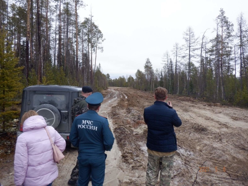 Если вы заблудились в лесу